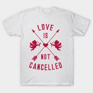 Love is Not Cancelled T-Shirt